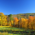 10 Unexpected Reasons to Move to Central Massachusetts: Where Charm Meets Opportunity