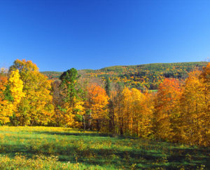 10 Unexpected Reasons to Move to Central Massachusetts: Where Charm Meets Opportunity