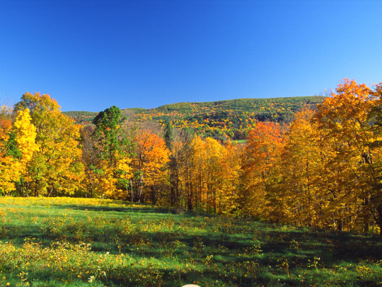 10 Unexpected Reasons to Move to Central Massachusetts: Where Charm Meets Opportunity