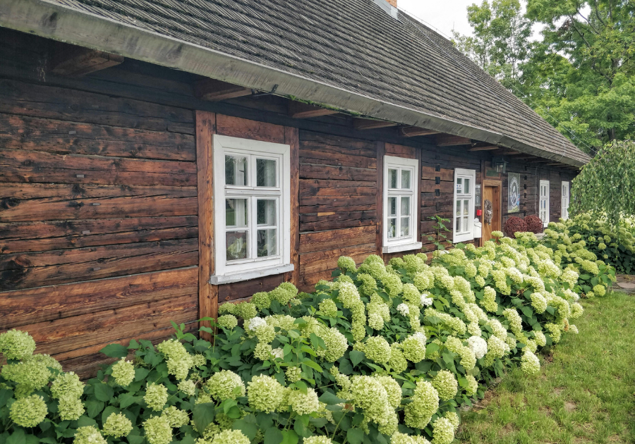 Historic wood exterior with white trim and hydrangeas, showing timeless character home details.