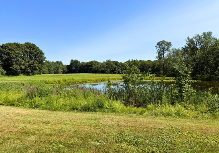 Petersham, MA Pond on A Summer Day